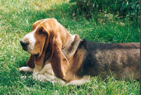 Remake De la cle du verne