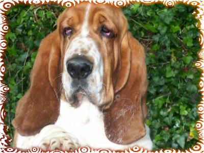 Uppercut De la cle du verne